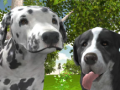 Spill Hund Simulator 3D online