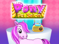 Spill Pony Kjæledyrsalong online