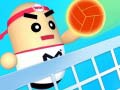 Spill Fascinerende Volleyball online