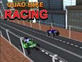 Spill Firehjulsykkel Racing online