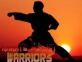 Spill Karate Solnedgang Krigere online