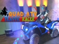 Spill Quad ATV Trafikk Racer online