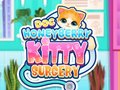 Spill Doktor HoneyBerry Kattkirurgi online