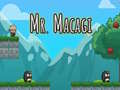 Spill Mr. Macagi online