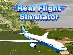 Spill Ekte Flysimulator online