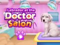 Spill Labrador hos veterinæren online
