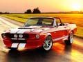 Spill Fancy Mustang Forskjeller online
