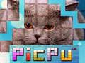 Spill PicPu Katt online