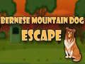 Spill Bernese Mountain Dog Flukt online