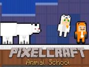 Spill PixelCraft Dyreskole online Spill PixelCraft Dyreskole online