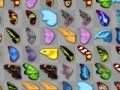 Spill Sommerfugl Kyodai online Spill Sommerfugl Kyodai online