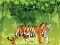 Spill Sint Tiger Fargelegging online