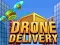Spill Dronlevering online