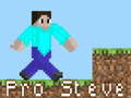 Spill Pro Steve online