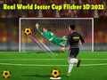 Spill Ekte Verdensmesterskap i Fotball Flicker 3D 2023 online