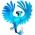 Rio Rio online