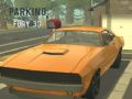 Spill Parkeringsvrede 3D online