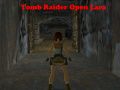 Spill Tomb Raider: Åpen Lara online