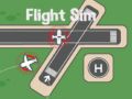 Spill Flysimulator online