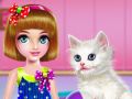 Spill Kattestell og grooming online