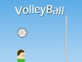 Spill Volleyball online
