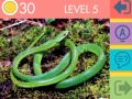 Spill 15 Bilde Quiz online