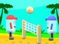 Spill Strandvolleyball online