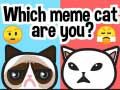 Spill Hvilken meme katt er du? online