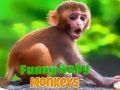 Spill Morsom babymunk online