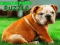 Spill Bulldog Valp Puslespill online