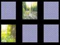 Spill Naturen Minnet online