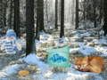Spill Vinterlandskap Skogseventyr online