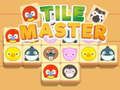 Spill Flis Mester online