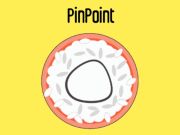 Spill Pinpoint online