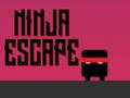 Spill Ninja Flukt online