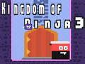 Spill Ninjaens Rike 3 online