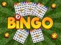 Spill Bingo Avslørt online