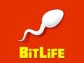 Spill BitLiv online