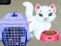Spill Baby Taylor: Kjæledyrpleie online