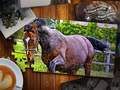 Spill Jigsaw Puzzle Hester Utgave online