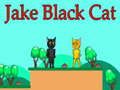 Spill Jake Svart Katt online