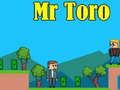 Spill Mr Toro online