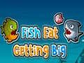 Spill Fisk spiser og blir stor online