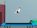 Spill Trampoline Flip online