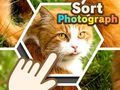 Spill Sorter fotografi online
