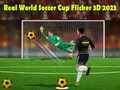Spill Ekte Verdensmesterskap i Fotball Flicker 3D 2023 online