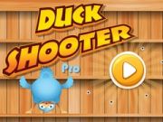 Spill Andeskytter Pro online