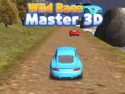Spill Vill Race Mester 3D online
