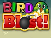 Spill Eksplosiv Fugl online