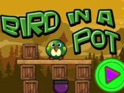 Spill Fugl i en gryte online